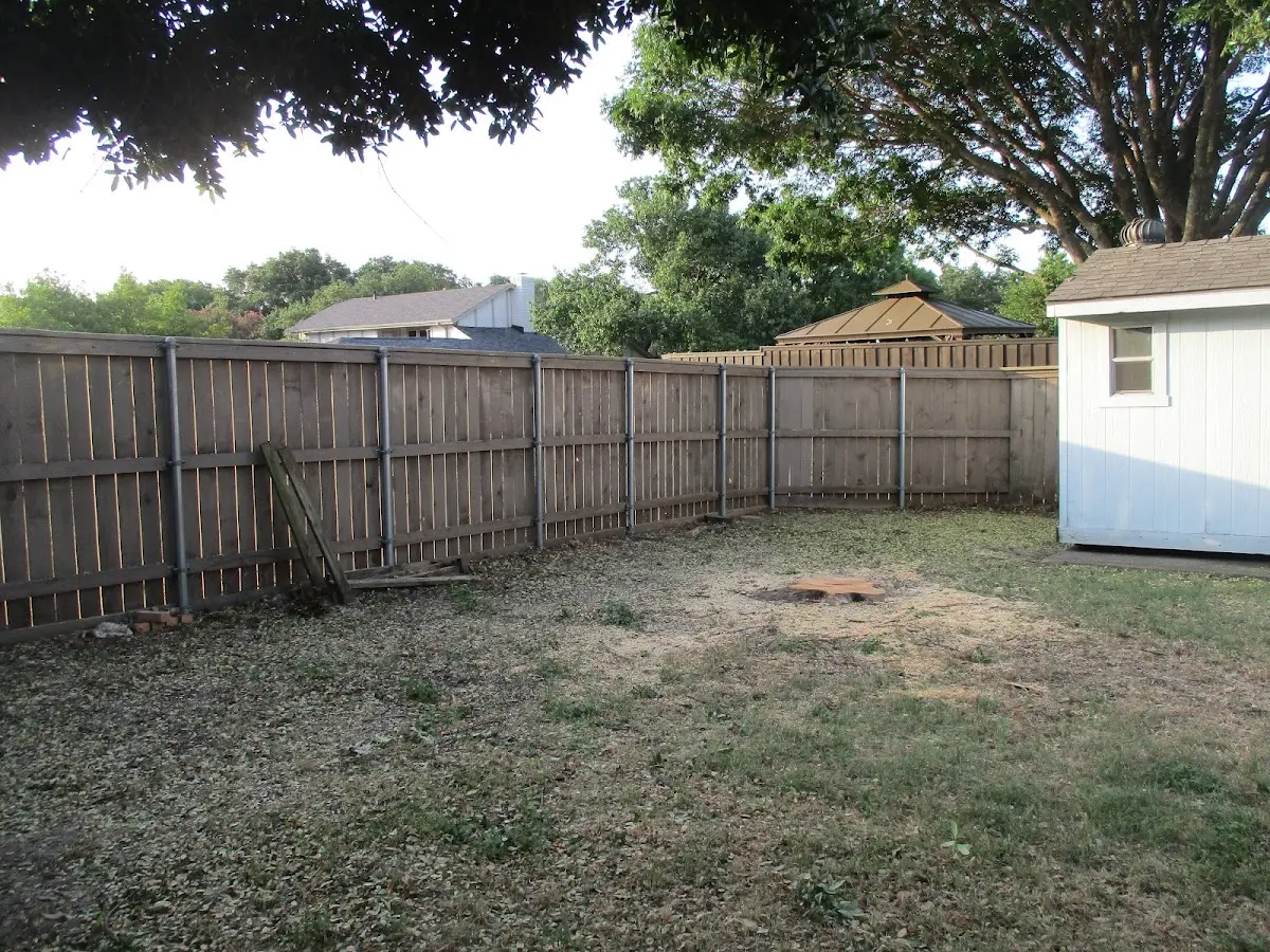 Cleared yard after professional tree removal in Gillham